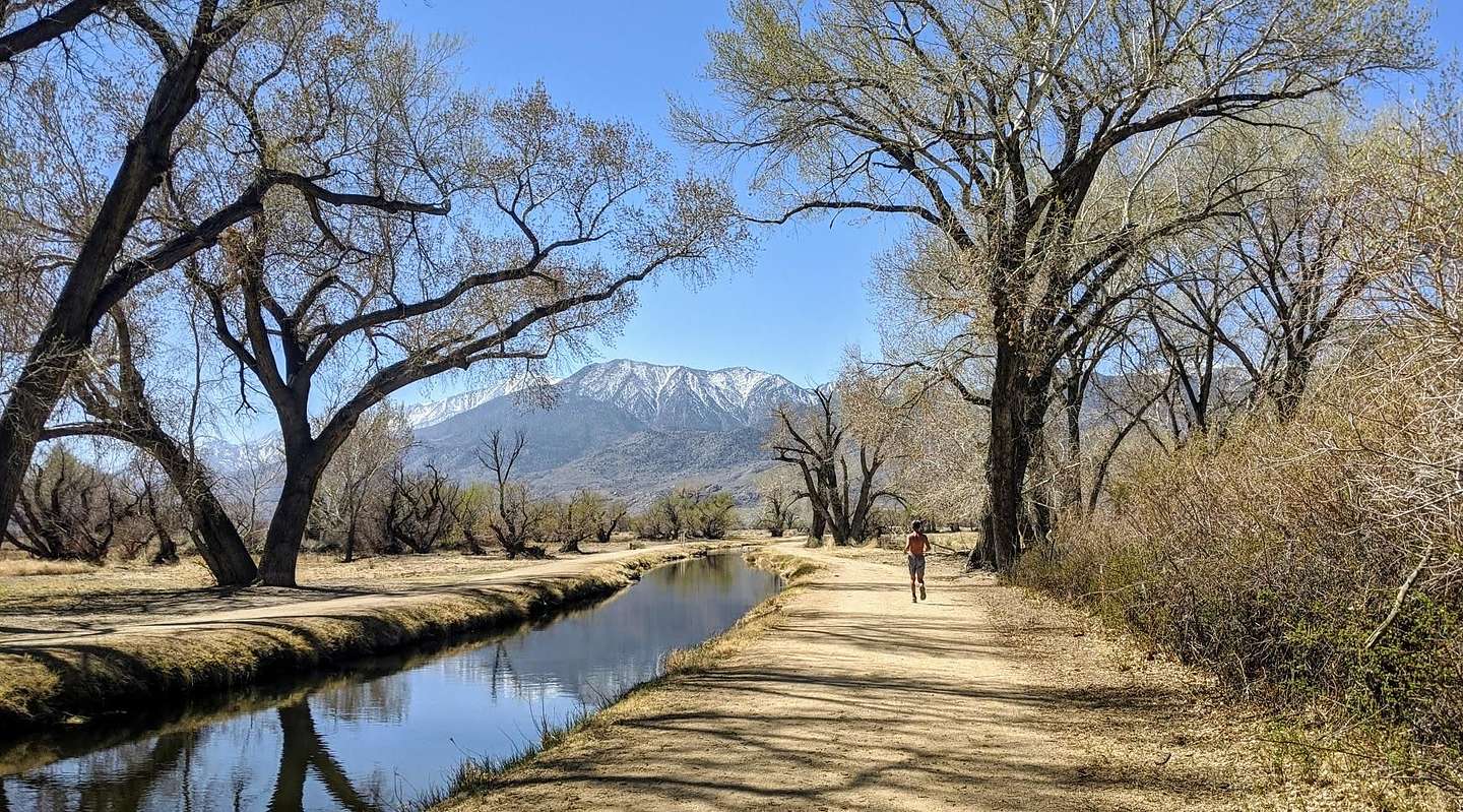 Herb running along the Bishop Creek Canal